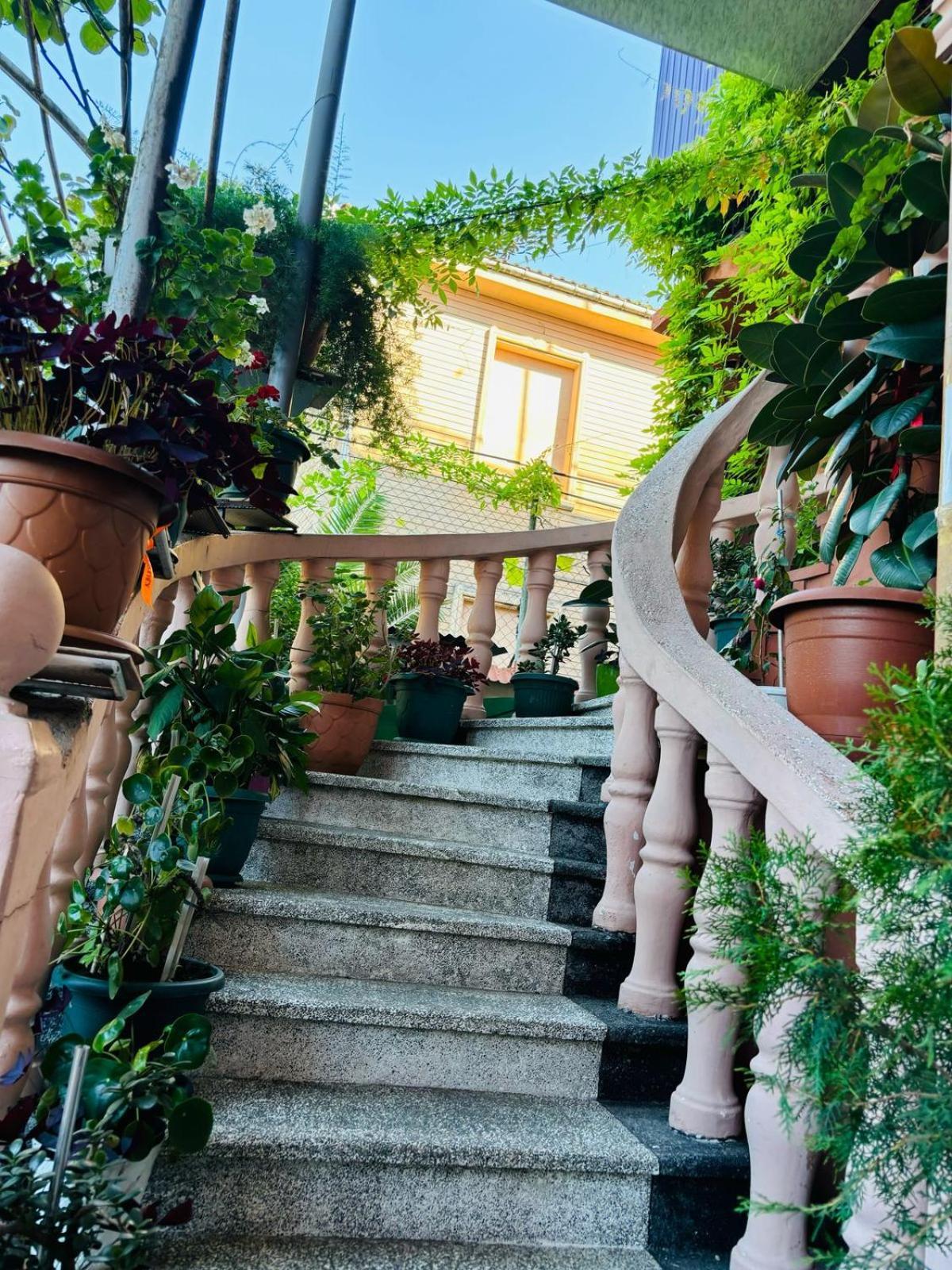 Nana'S House Ξενοδοχείο Μπατούμι Εξωτερικό φωτογραφία