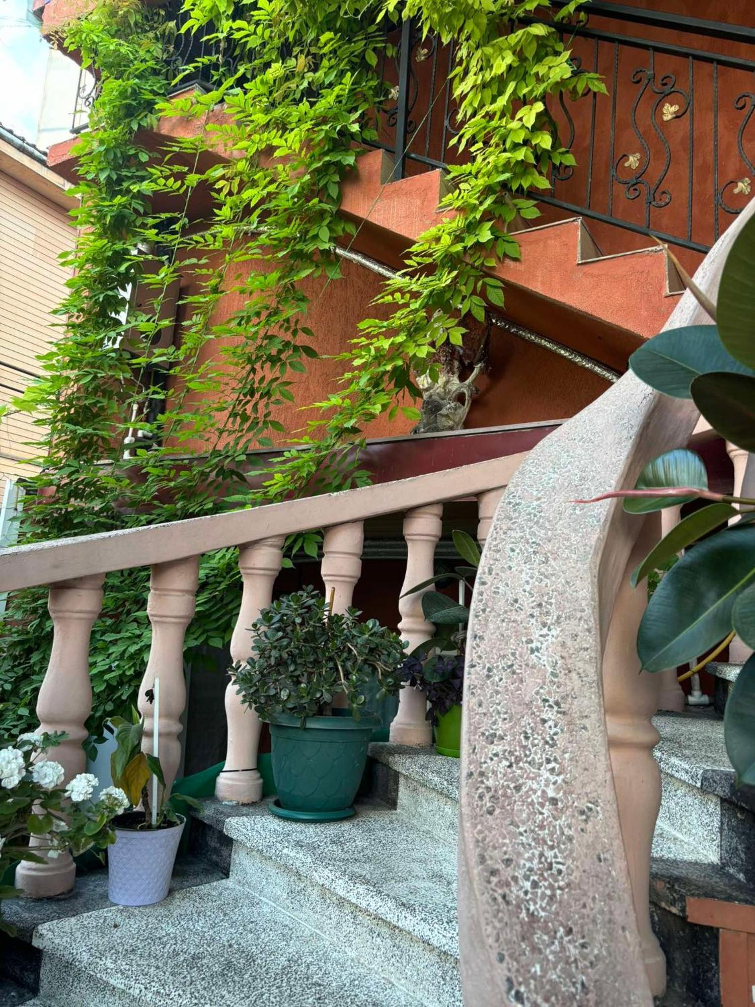 Nana'S House Ξενοδοχείο Μπατούμι Εξωτερικό φωτογραφία